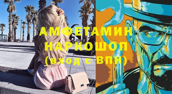 амф Няндома